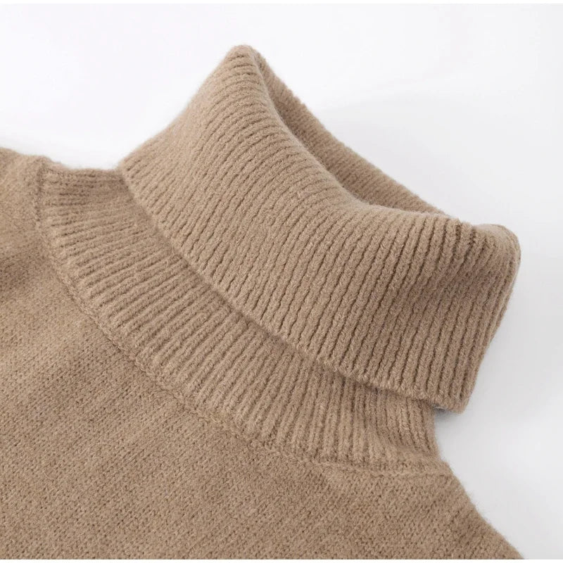 Wilma Rollkragenpullover in Beige, Nahaufnahme Kragen